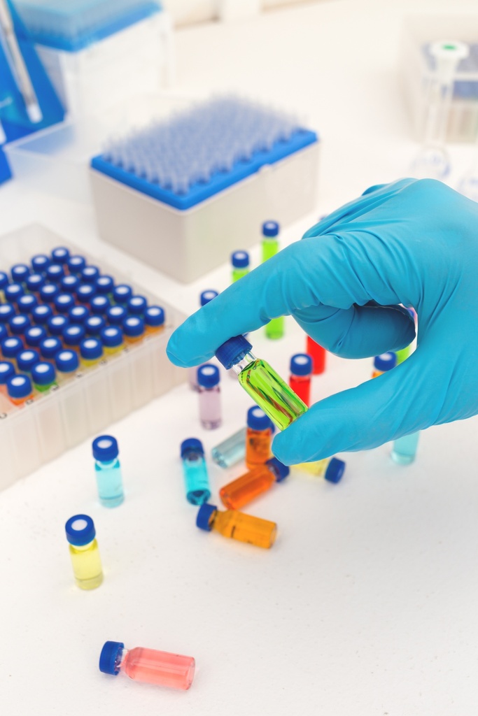 Perindoprilat Isopropyl Ester tert-Butylamine Salt 50mg